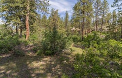 102 Red Canyon Court, Durango, CO 81301
