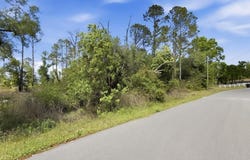 503 Judson Drive, Perry, FL 32348