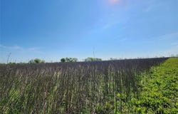 Tba Private Road 196, Blum, TX 76627