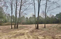 Plantation Circle, Melbourne, AR 72556