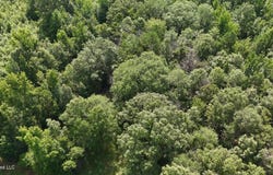 0 Chapel Hill Road, Utica, MS 39175