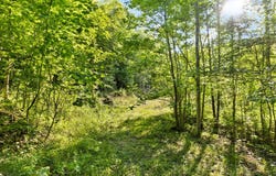 165 Chaneyville Road, Stanton, KY 40380