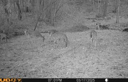 9990 Shannon Road, Frazeysburg, OH 43822