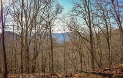 10 Ridge Place, Bryson City, NC 28713