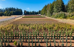 25220 S SPRINGWATER RD, Estacada, OR 97023