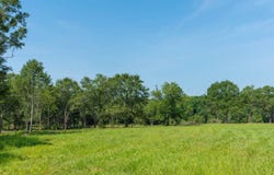00 Yatesville Road, Barnesville, GA 30204