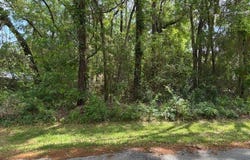 4229 S Canton Terrace, Inverness, FL 34452