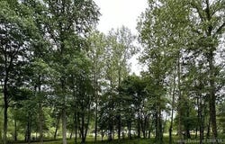1649 S 1400 W, Lexington, IN 47138