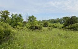 0 N Clinton Trail, Sunfield, MI 48890