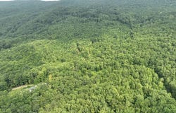 Laurel Dr, Rocky Gap, VA 24366