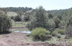 3605 CR 307, Durango, CO 81303