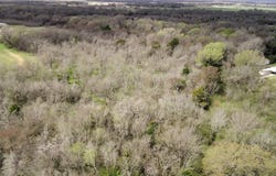 County Road 666, Kosse, TX 76653
