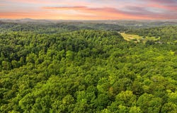9999 Long Branch Road, London, KY 40741