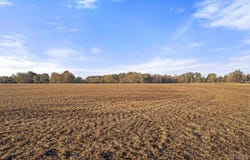 25 Daugherty Marks Road, Clark Twp, OH 45130
