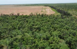 462 +/-AC  FM 1225, Haskell, TX 79521