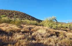 439xx N 24TH Street, New River, AZ 85087