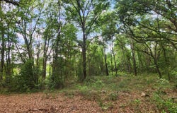 552146 US HIGHWAY 1, Hilliard, FL 32046