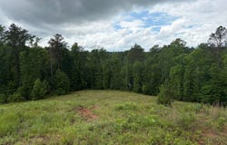 000 Pearce Chapel Road, Smithville, MS 38870