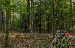 Lot 2 E Arthur Road, Rothbury, MI 49452