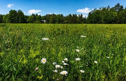 237 Loop Road, Jay, VT 05859