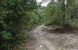 Easter Hollow Road, Ridgeview, WV 25169