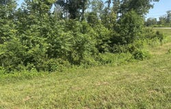 Lot 49 Rock Springs Road, Celina, TN 38551