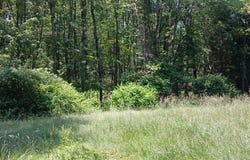 719 Toll Road, Effort, PA 18330
