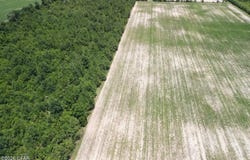 Peanut Road, Cottondale, FL 32431