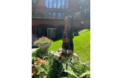 1005 MAROMIR COURT, KEARNEY TWP, MI 49615