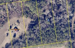 0 Sandbed, Pamplico, SC 29583
