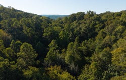 32.38 AC Panther Creek Road, Sneedville, TN 37869