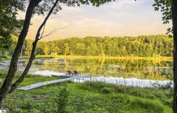 19545 Woodland Trail, Traverse City, MI 49684