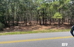 State Highway 225, Spanish Fort, AL 36527