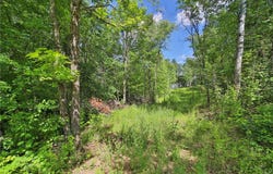 Tbd Pine Mountain Lake Road NW, Backus, MN 56435