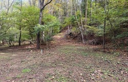 Collins Cove Rd lot: 1-3, Ivanhoe, VA 24350