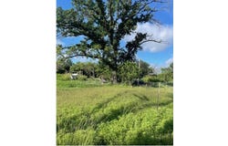 400 BLUEBONNET, Early, TX 76802
