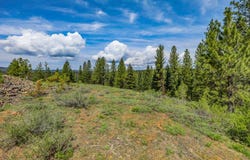 Tamarack View Drive, New Meadows, ID 83654
