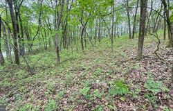 182 SALEM MOUNTAIN RD, CARBONDALE, PA 18407