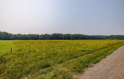 13 Acres WHITETAIL LANE, Tipler, WI 54542