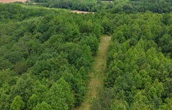 000 S. Eagle Creek, Holladay, TN 38341