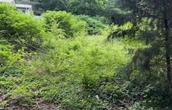 00 Wheeler Avenue, Chattanooga, TN 37404