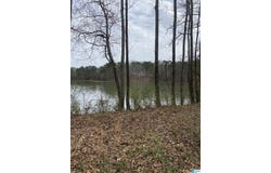 4402 CAMP COLEMAN ROAD, TRUSSVILLE, AL 35173