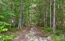 0 Griff Johnson Road, Menlo, GA 30731