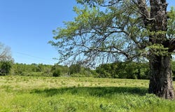 11.97 acres Omussee Road, Dothan, AL 36303