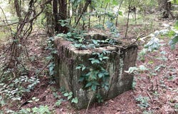 TBD Tollett Road, New Hope, AR 71959