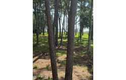 86 Martinangel Lane, Daufuskie Island, SC 29915
