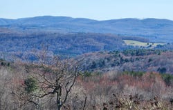 L1 Lang Road, Summit, NY 12175