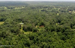 247 Sandy Branch Road, Sarah, MS 38665