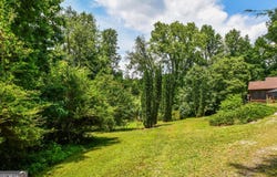 501 The Orchard, Clarkesville, GA 30523