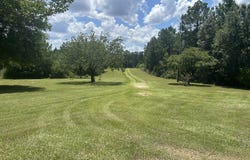 64 Simon Rd, Tylertown, MS 39667